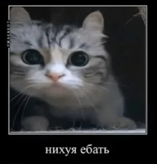🤩 emoji Пак виртуального паяльника @TgEmodziBot Telegram sticker 2 of 47