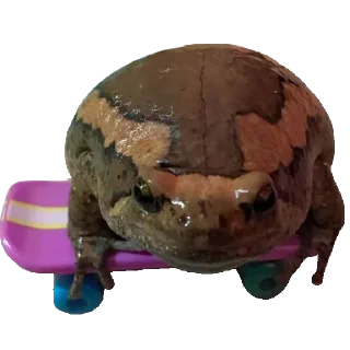 🛹 emoji Больше стиков тут: @stikery4 Telegram sticker 16 of 119