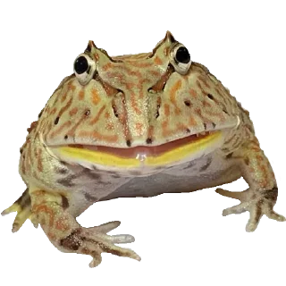😨 emoji Больше стиков тут: @stikery4 Telegram sticker 11 of 119