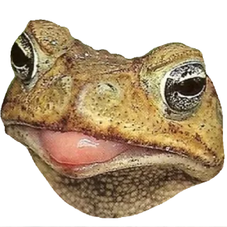 😛 emoji Больше стиков тут: @stikery4 Telegram sticker 8 of 119