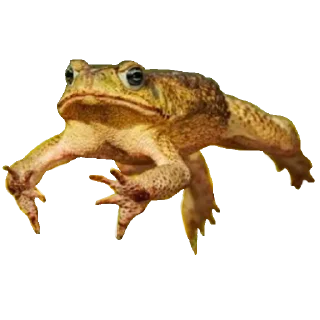 😇 emoji Больше стиков тут: @stikery4 Telegram sticker 21 of 119