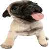 😛 emoji kewixx’,’,///:33 Telegram sticker 15 of 81