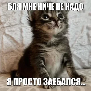 😔 emoji китики dy psyho ➡️ @Ctikerubot Telegram sticker 13 of 32