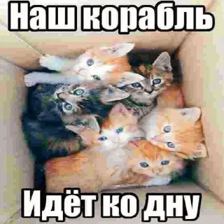 😒 emoji китики dy psyho ➡️ @Ctikerubot Telegram sticker 10 of 32