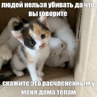 😘 emoji китики dy psyho ➡️ @Ctikerubot Telegram sticker 5 of 32