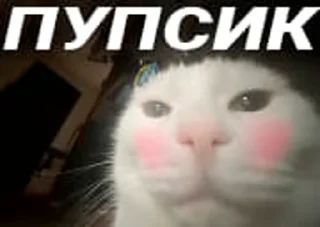 Sticker from Пупсики-гандоны @MoiStikiBot