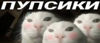 Sticker from Пупсики-гандоны @MoiStikiBot