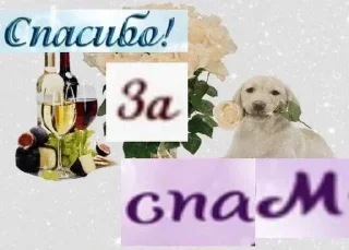 😀 emoji Мяу Telegram sticker 3 of 25