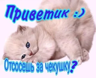 😏 emoji Мяу Telegram sticker 11 of 25