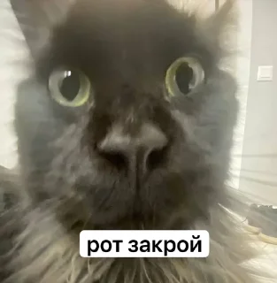 😏 emoji ну да Telegram sticker 20 of 35