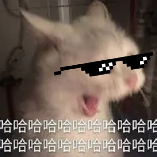😎 emoji Спешл фор Дан + Telegram sticker 11 of 58