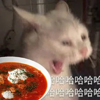 🇺🇦 emoji Спешл фор Дан + Telegram sticker 18 of 58