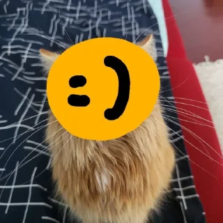 🙂 emoji Та Telegram sticker 10 of 10