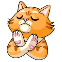 🙅‍♂️ emoji Striped Cat Telegram sticker 16 of 30