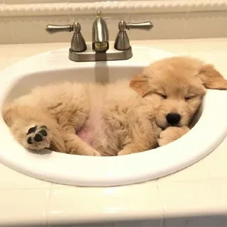 🛁 emoji Больше стикеров: @sticerru Telegram sticker 21 of 69