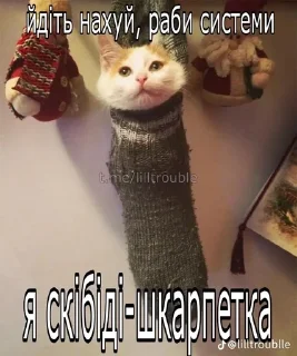 Sticker from Еееее блять