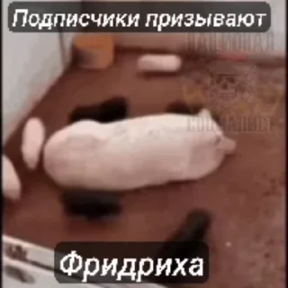 😘 emoji Национал - сионист чат by мойша ➡️ @Ctikerubot Telegram sticker 12 of 25