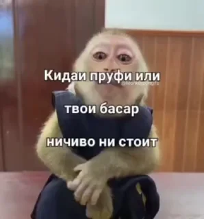 😱 emoji Бібізяни ➡️ @Ctikerubot Telegram sticker 6 of 91