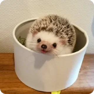 😛 emoji йожык Telegram sticker 5 of 100