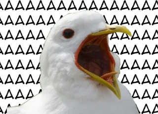 Sticker from мемы для славян.