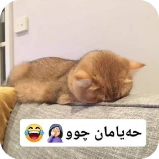 Sticker from Qarajstan planet 🤍🧝🏻‍♀️🪐👽👽👽
