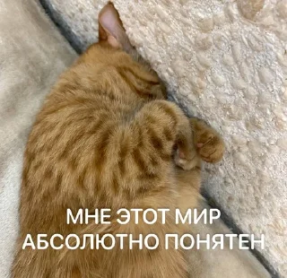 Sticker from Ириска