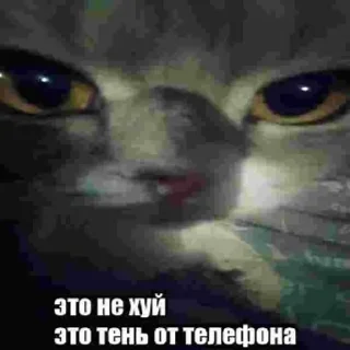 Sticker from Кабан