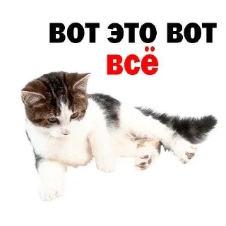 🦄 emoji кошачья переписка :: @sozdat_stikery_bot Telegram sticker 1 of 19