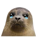 Sticker from seals