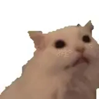 😸 emoji @sticksbb 🩷 <- канал со стиками Telegram sticker 9 of 50