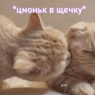 Sticker from Love❤