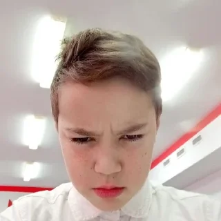 😡 emoji я крутая,но мы тоже Telegram sticker 15 of 70