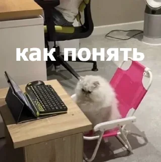 🤨 emoji Анонимный чат: @anonimnyi_chatbot 💓 Telegram sticker 21 of 80