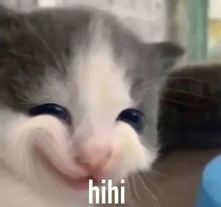 😁 emoji Принимайте бадизм Telegram sticker 9 of 25
