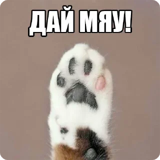 👋 emoji ZнакиПиzдеца — @stckrRobot Telegram sticker 13 of 114