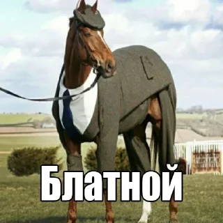 😎 emoji Больше стикеров 👉🏻 @stickertg4 Telegram sticker 20 of 103