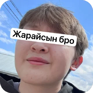 🫥 emoji Али Telegram sticker 8 of 40