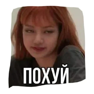 Sticker from Что за пон!!??