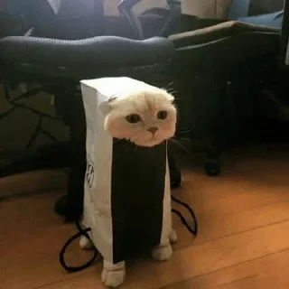 😐 emoji Cat sticker by @sticker_pack_channel — @stckrRobot Telegram sticker 17 of 120
