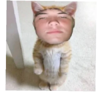 ☺️ emoji Егор в Anape s liv Telegram sticker 5 of 34