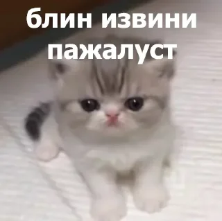 😞 emoji Больше стикеров 👉🏻 @stickertg4 Telegram sticker 17 of 80
