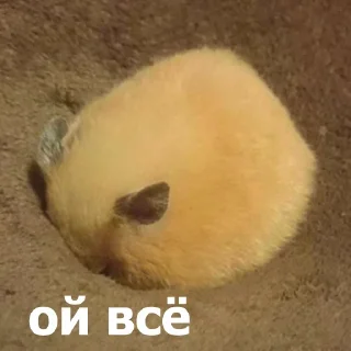 😒 emoji Больше стикеров 👉🏻 @stickertg4 Telegram sticker 14 of 80