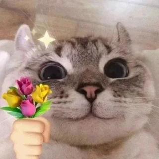 🗑️ emoji memenergy Telegram sticker 1 of 104