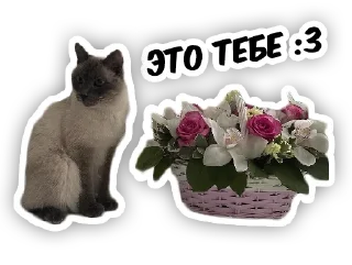 💐 emoji чипс Telegram sticker 9 of 14