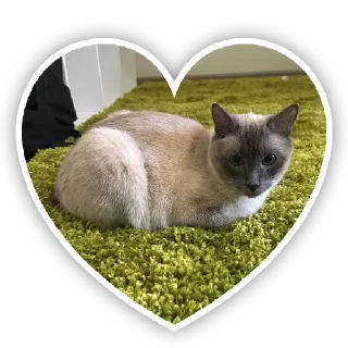 ❤️ emoji чипс Telegram sticker 13 of 14