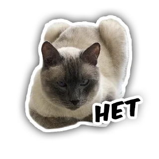 🥴 emoji чипс Telegram sticker 12 of 14