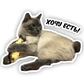 🍗 emoji чипс Telegram sticker 6 of 14