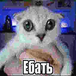 🌟 emoji Крутые и оригинальные стикеры Telegram sticker 23 of 32