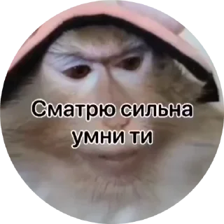 🌟 emoji Стикеры Иван Чая пон ➡️ @Ctikerubot Telegram sticker 9 of 71