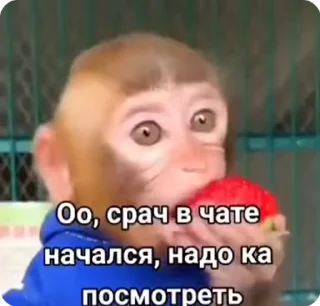 🍿 emoji Стикеры Иван Чая пон ➡️ @Ctikerubot Telegram sticker 17 of 71